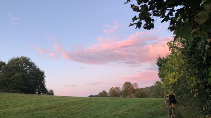 a person riding a bike on a path in a field with trees and pink clouds