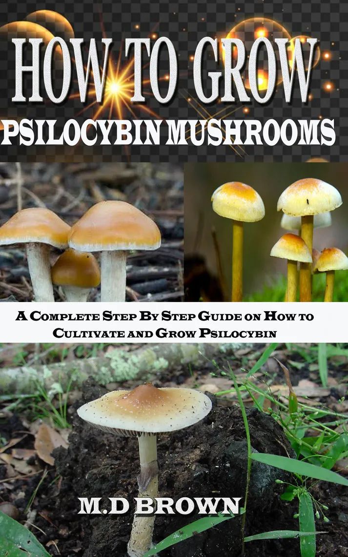 the cover of how to grow edible mushrooms