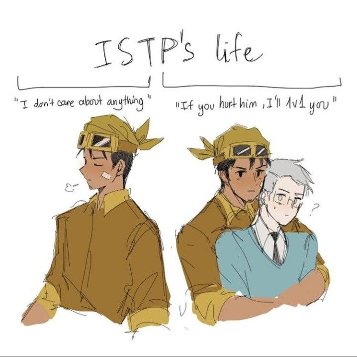 Isfp Relationships, Istj Relationships, Istp Relationships, Istp Istj, Mbti Istj, Istj Personality, Mbti Charts, Istp Personality, Mbti Test