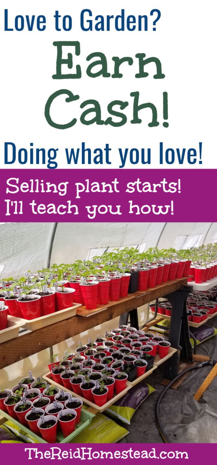 a greenhouse filled with lots of plants and potted plants that says love to garden cash doing what you love selling plant starts i'll teach you how