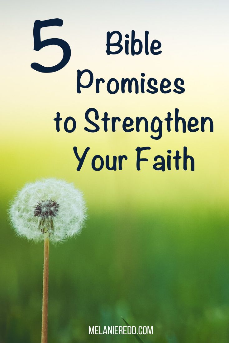 a dandelion with the words 5 bible promises to strength your faith on it