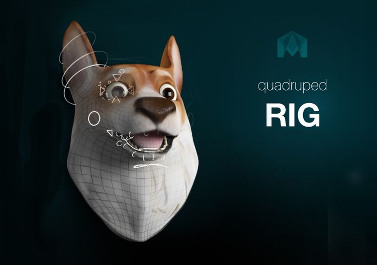 a dog's head is shown with the words, quadruped rig