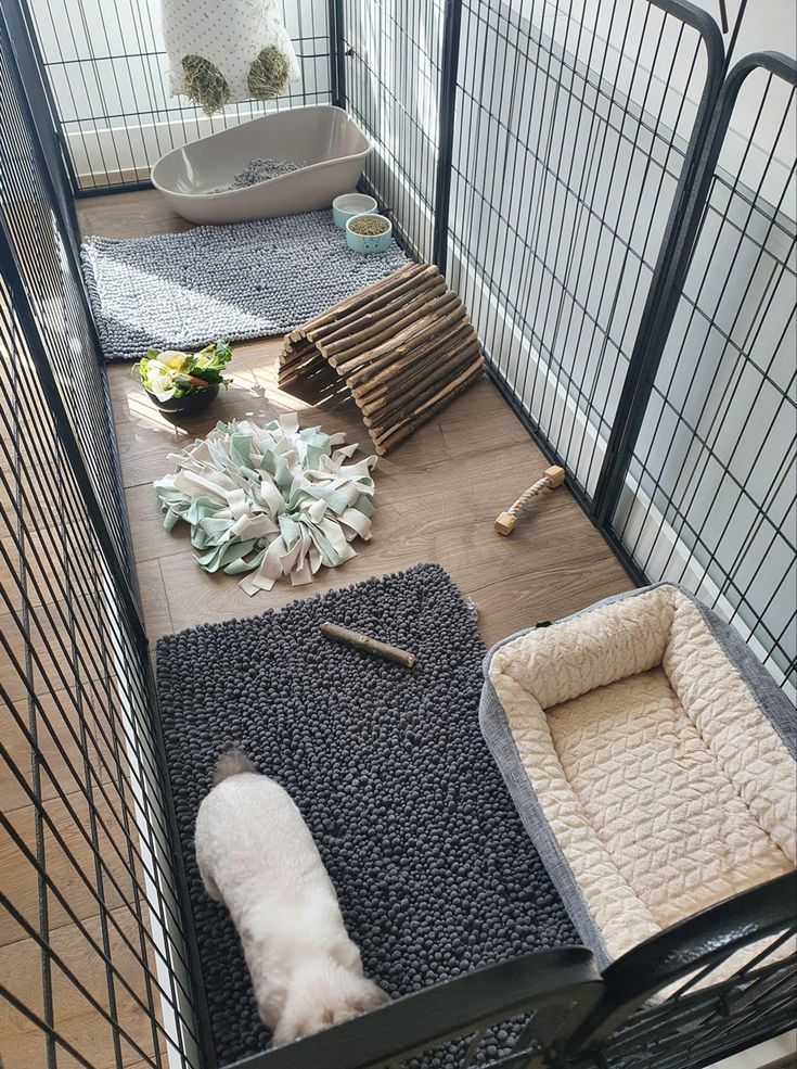 there is a dog laying on the floor next to his caged bed and litter box