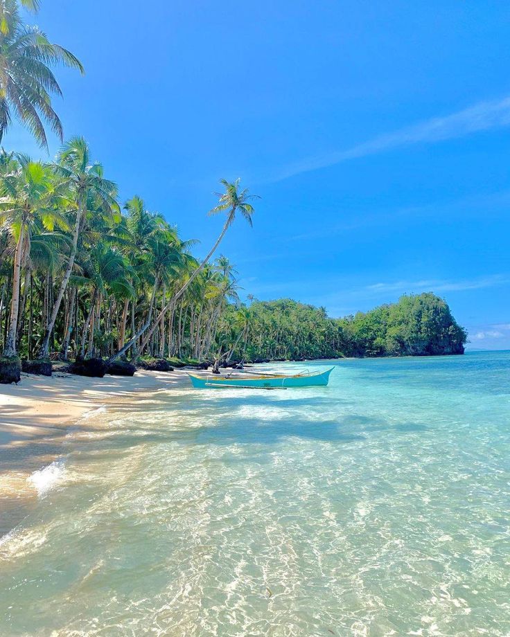 a beach with palm trees and boats in the water