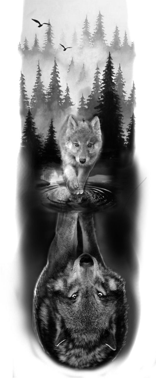 a wolf is reflected in the water with trees and birds behind it, while another wolf looks on