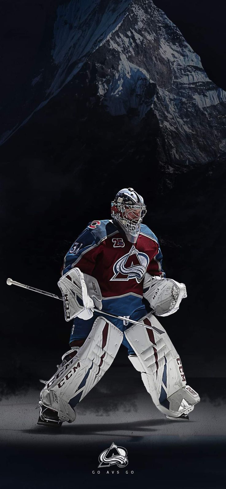 an image of a hockey goalie on the ice with mountains in the back ground