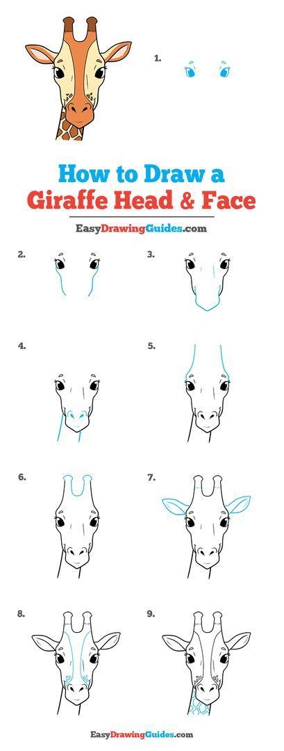 how to draw a giraffe head and face with easy step by step instructions