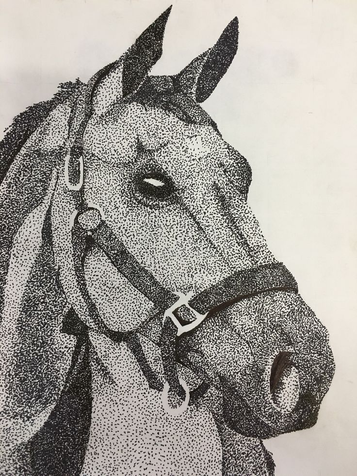 a drawing of a horse's head in black and white with dots on it