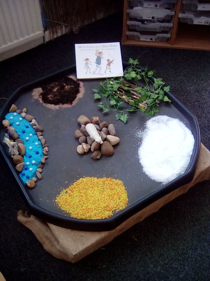 a tray with rocks and plants on it