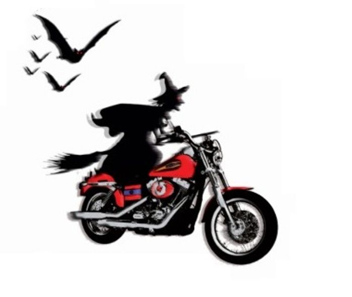 a drawing of a dog riding on the back of a motorcycle with birds flying around