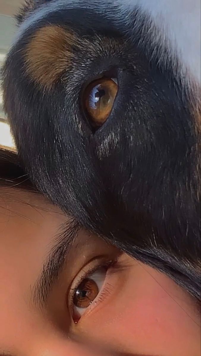 a close up of a person with a dog's eye looking at the camera