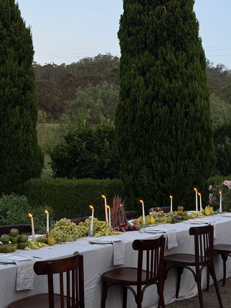 a long table is set up with candles and fruit for an outdoor dinner or party