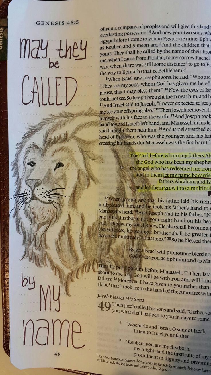 an open book with a drawing of a lion on it's front page and the words may they be called by my name