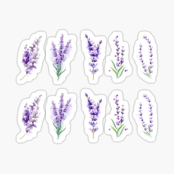 lavender flowers stickers are arranged in rows, with the stems still attached to them