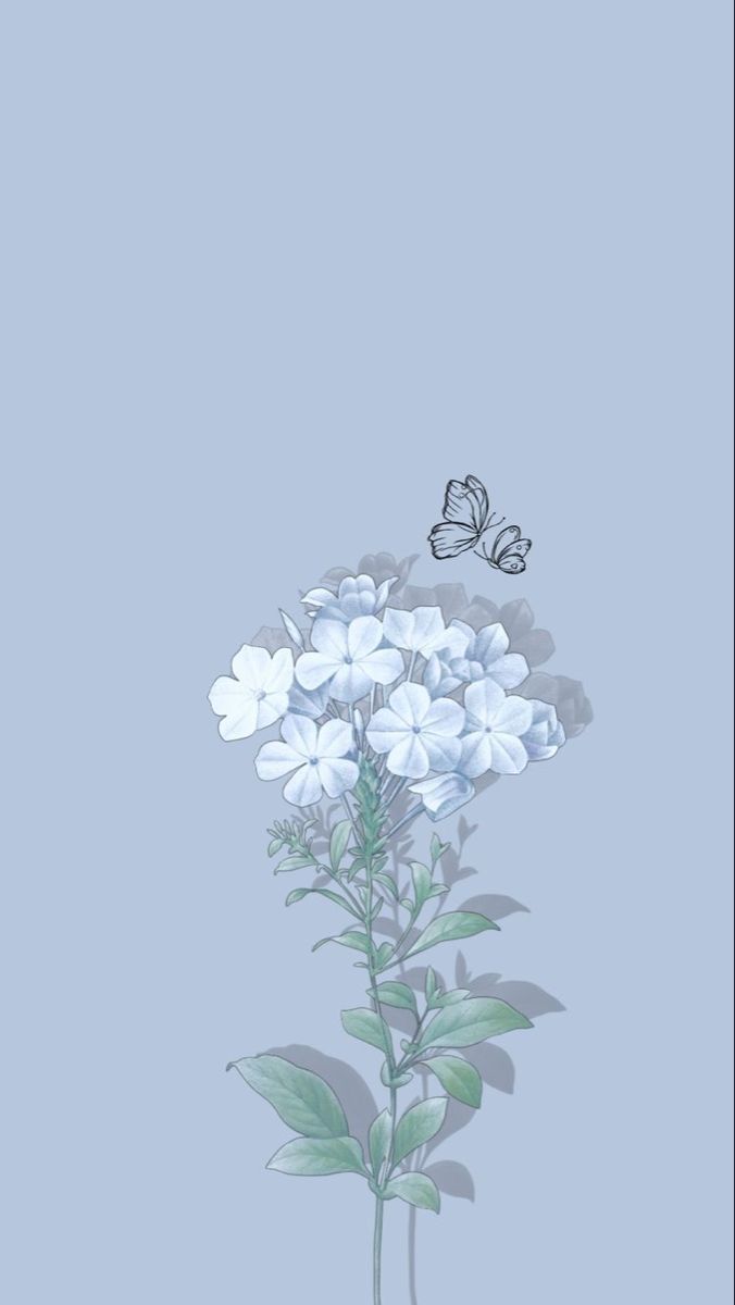 white flowers and a butterfly on a blue background