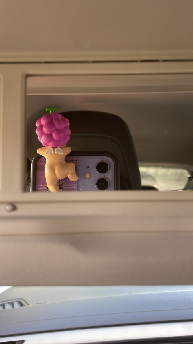 there is a cell phone in the back seat of a car with grapes on it