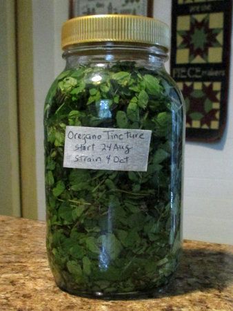 a jar filled with green plants sitting on top of a counter