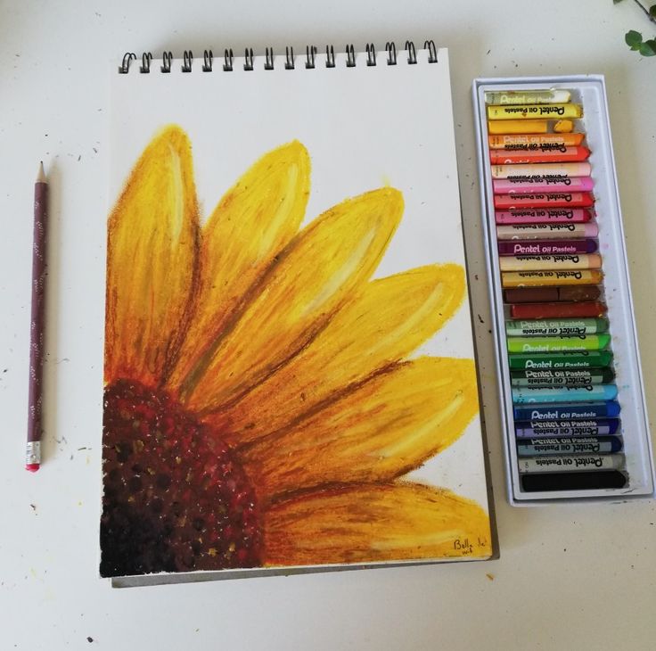 a sunflower is next to some crayons on a white table with a watercolor pencil