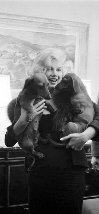 a woman holding a dog in her arms while standing next to a man wearing a suit and tie