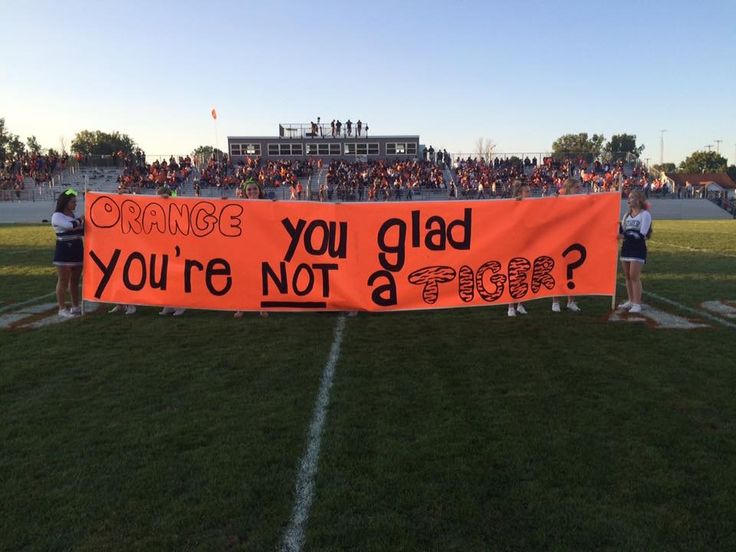 an orange banner with the words orange you're not glad on it at a football game