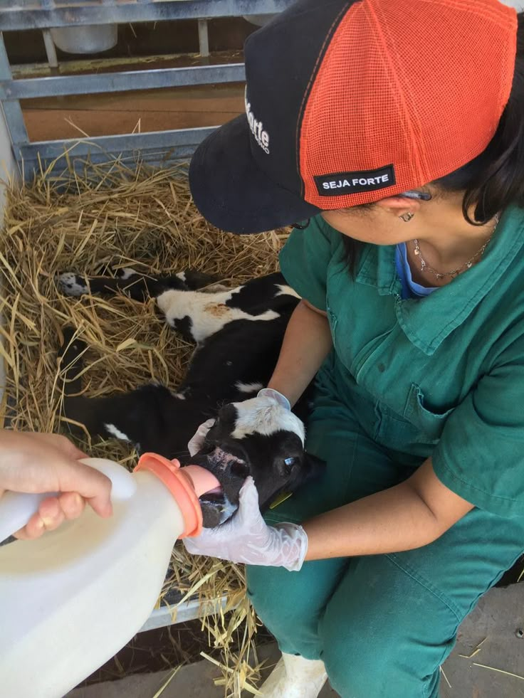 a woman in green scrubs down on a black and white baby goat