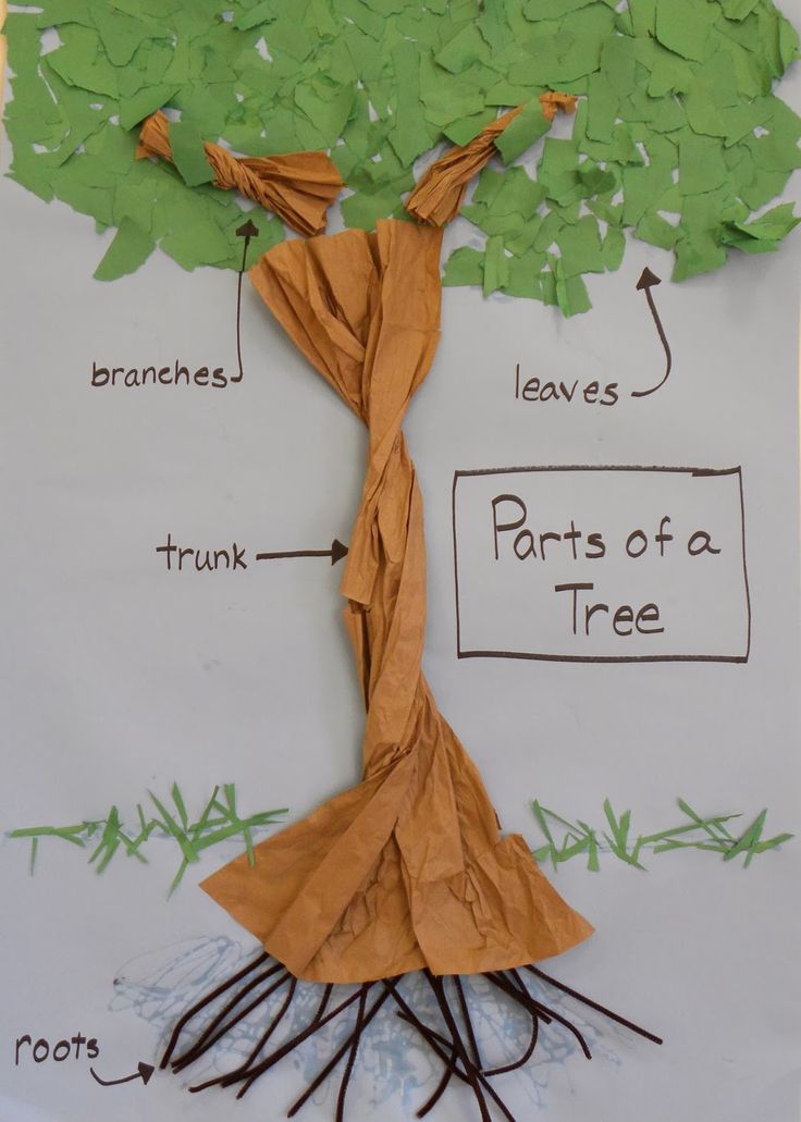 the parts of a tree made out of brown paper