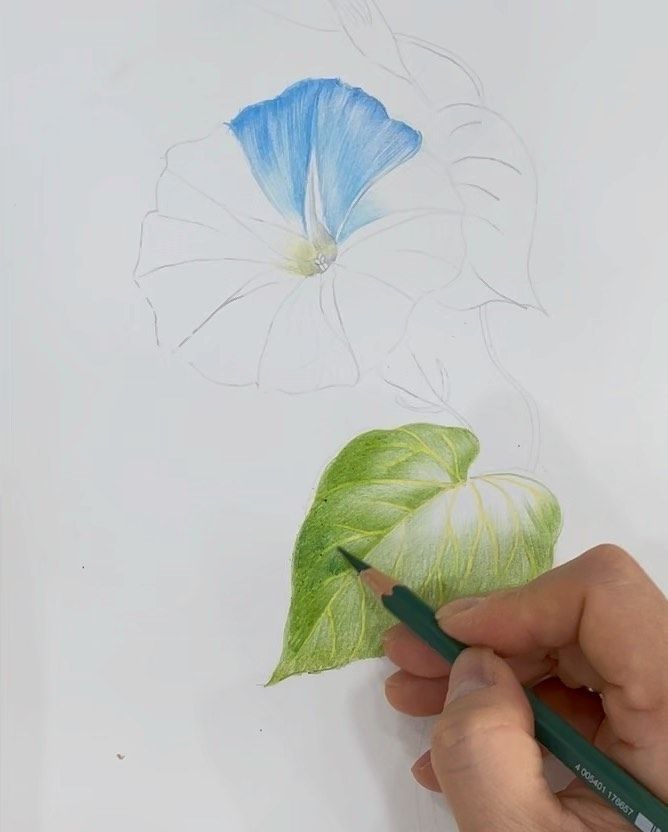 someone is drawing a flower with colored pencils