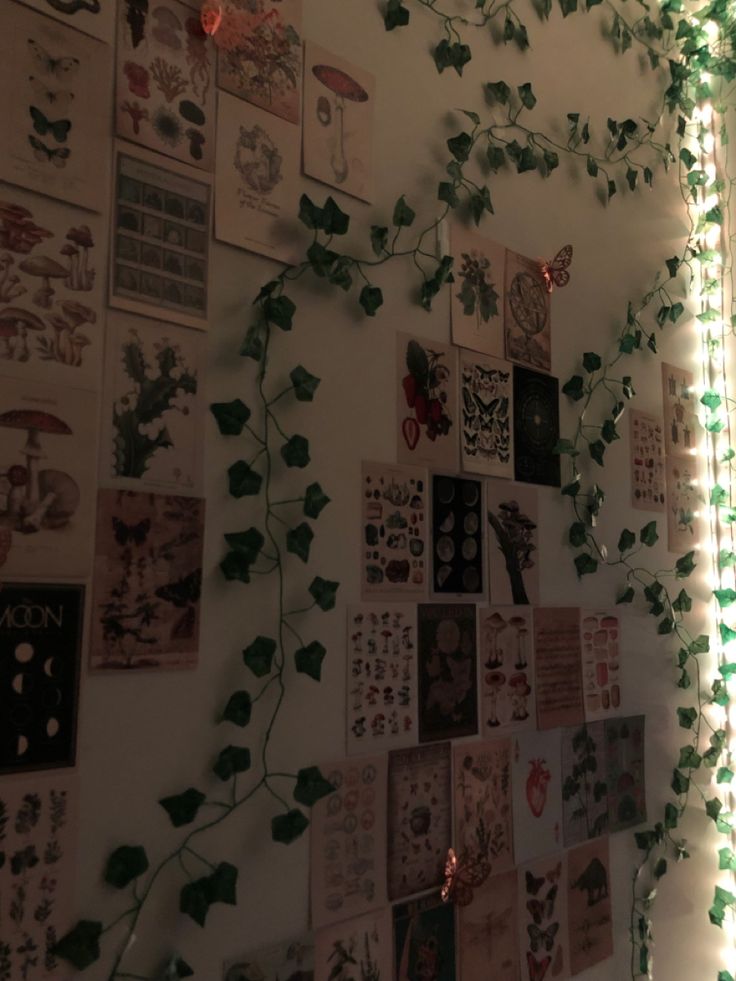 ivy growing up the side of a wall with christmas lights on it and pictures all over