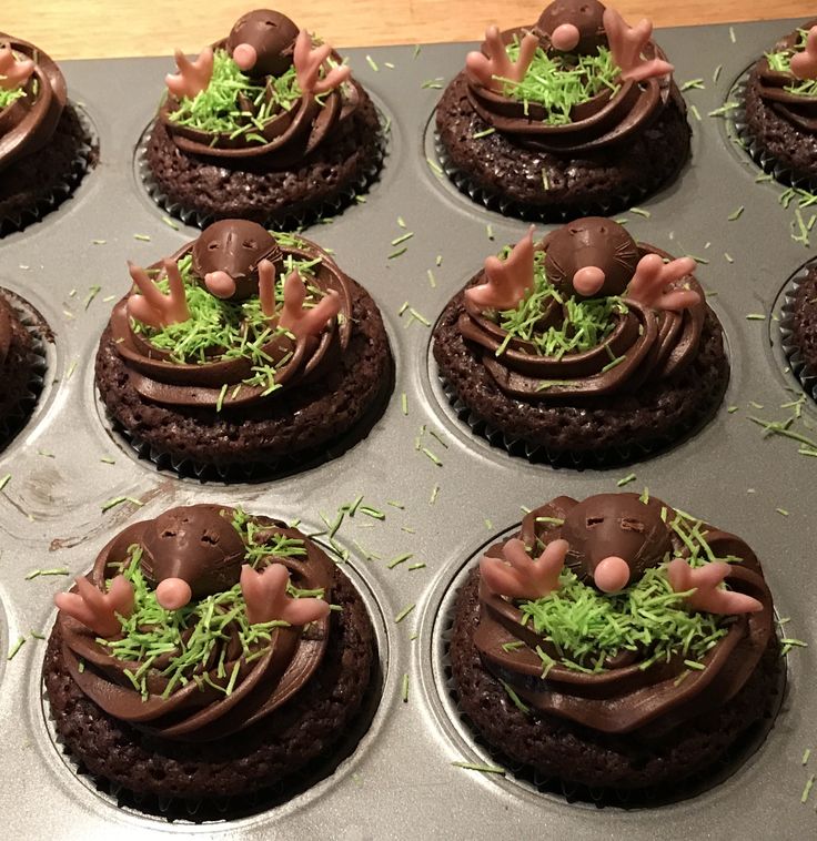 chocolate cupcakes are decorated with grass and little animals