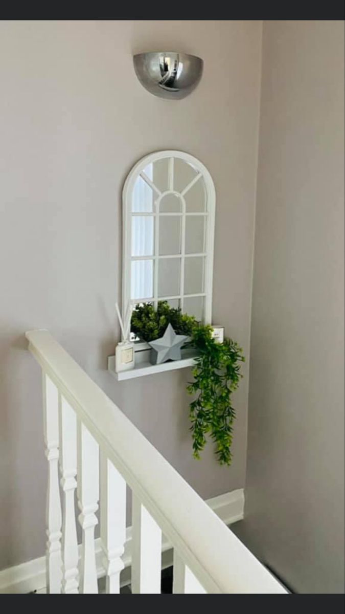 a mirror on the wall next to a stair case with potted plants in it