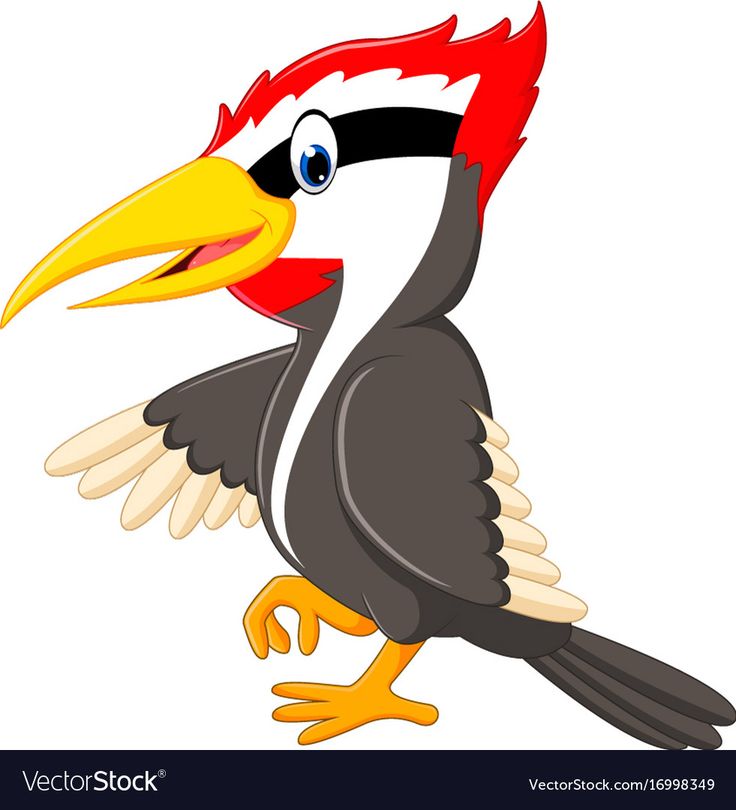 a cartoon bird with red and black feathers