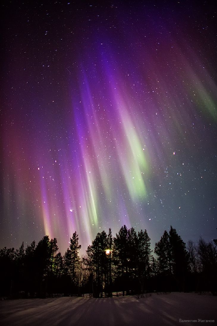 the sky is filled with bright purple and green aurora bores, as well as stars