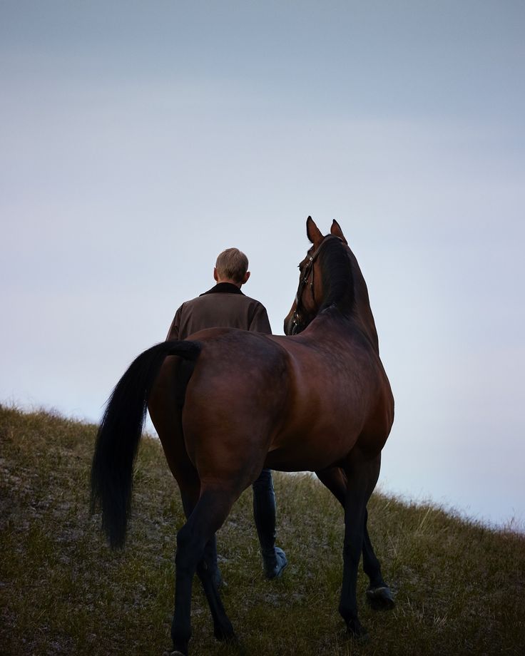 a man standing next to a brown horse on top of a lush green field under a cloudy sky