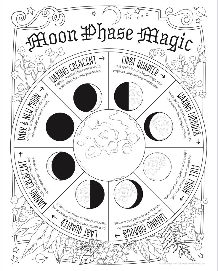 Witches Wheel, Wicca Recipes, Lunar Witch, Witch Coloring Pages, Moon Journal, Magic Spell Book, Grimoire Book, Wiccan Spell Book, Magick Book