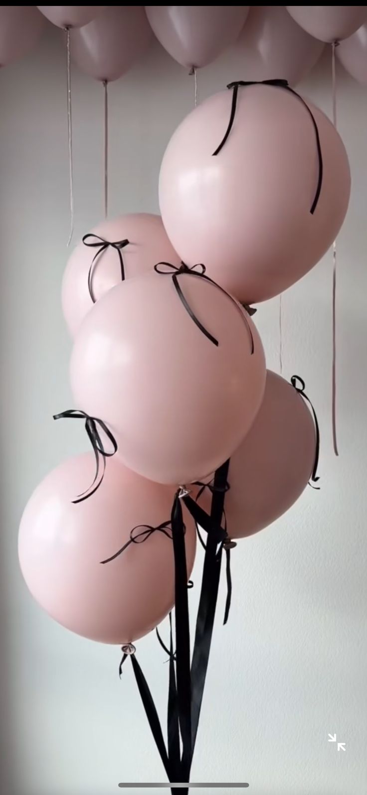 pink balloons are tied to the ceiling with black string and bow on them in a vase