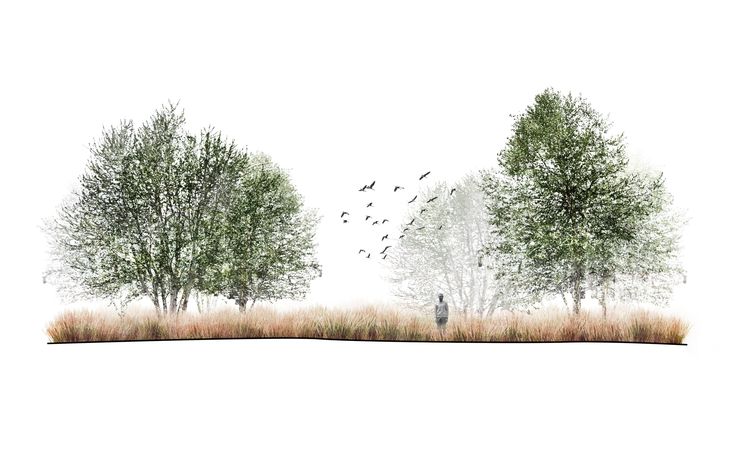 an artist's rendering of two trees with birds in the sky and grass on the ground