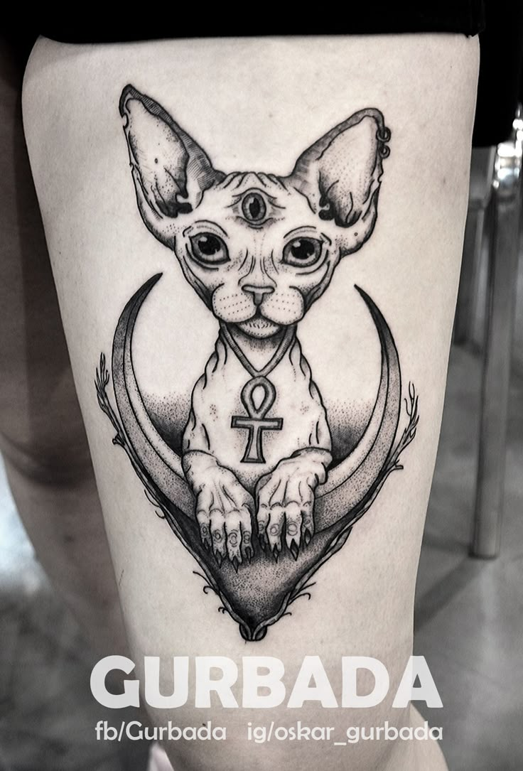 a cat with an anchor and cross on it's thigh