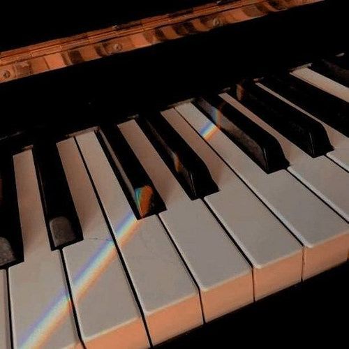 a close up of the keys on a piano