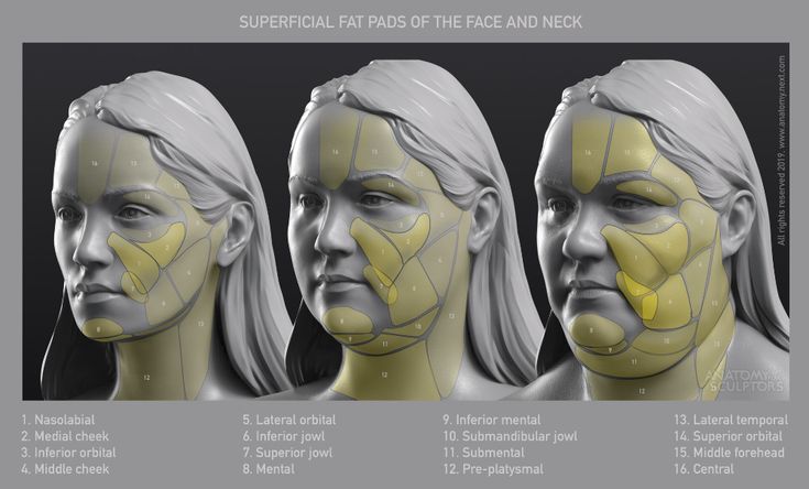 the facial features are shown in three different angles, and each has an individual's face