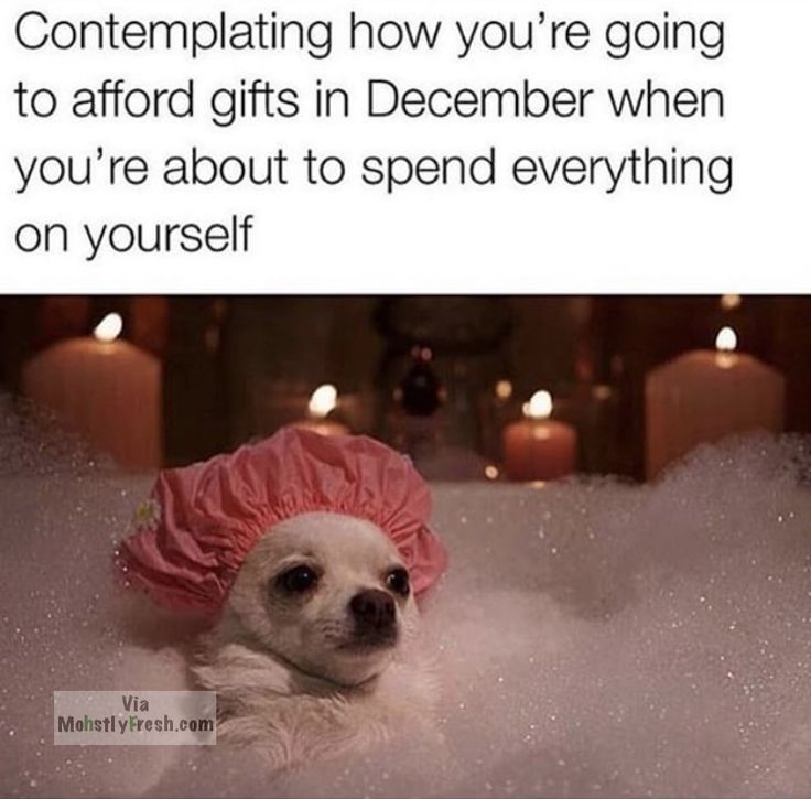 a dog with a pink hat in the bathtub