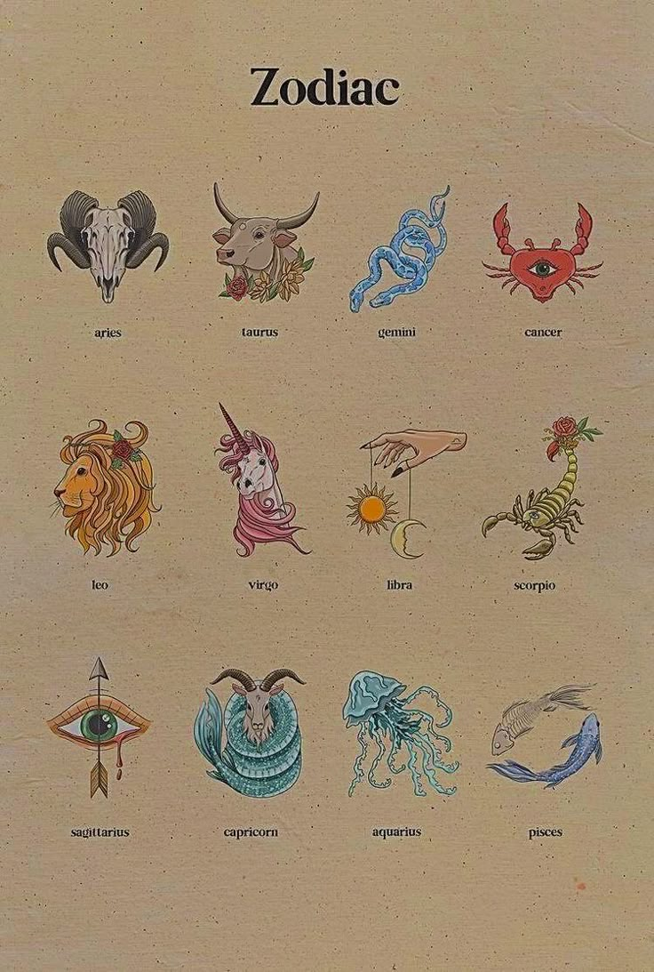 the zodiac signs are drawn in different colors