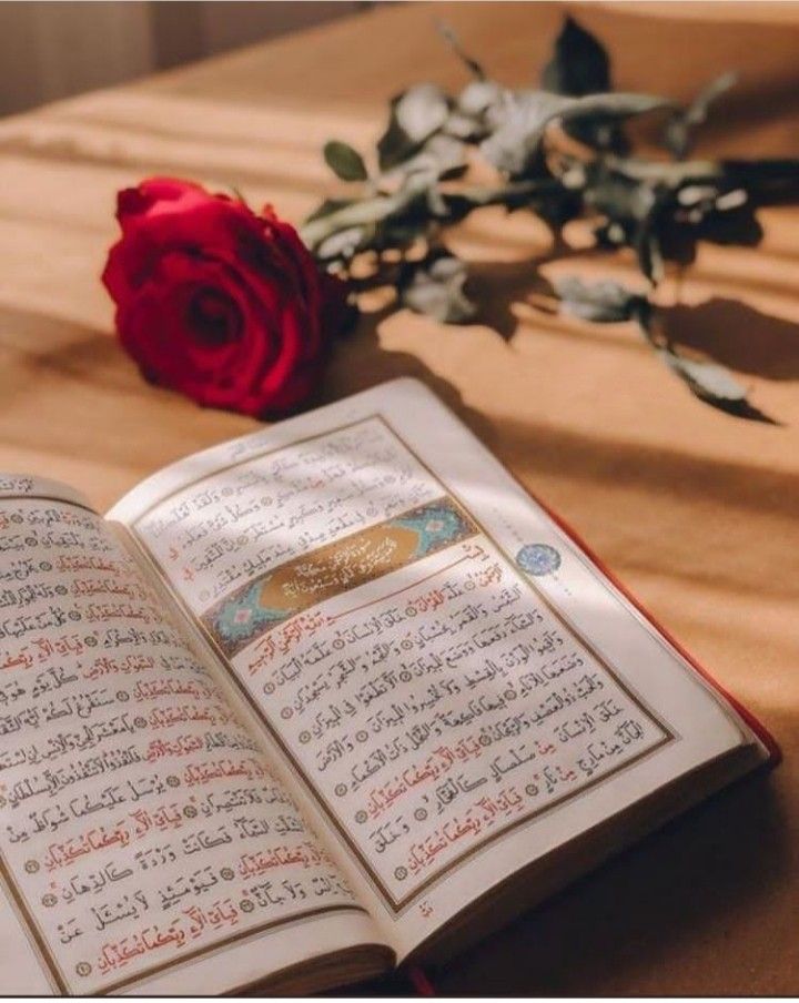 an open book sitting on top of a table next to a red rose