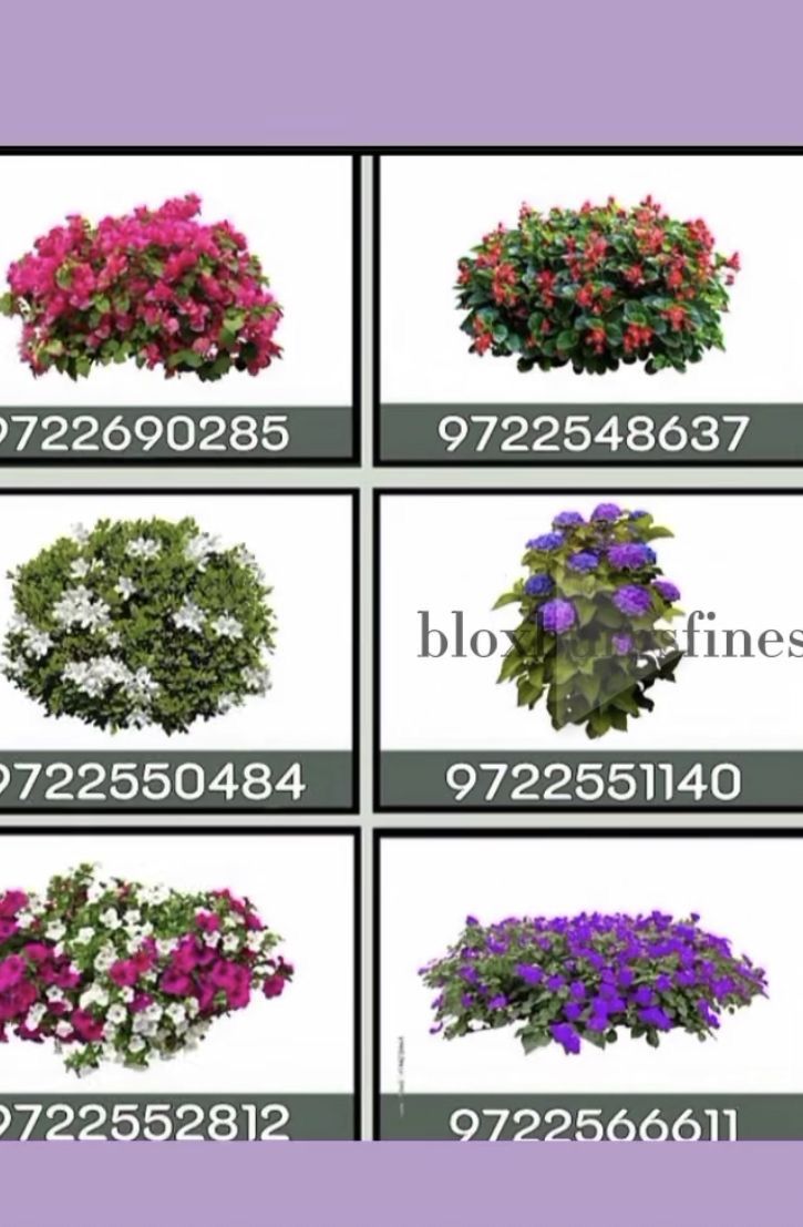 various types of flowers are shown in this image, with the names below them on it