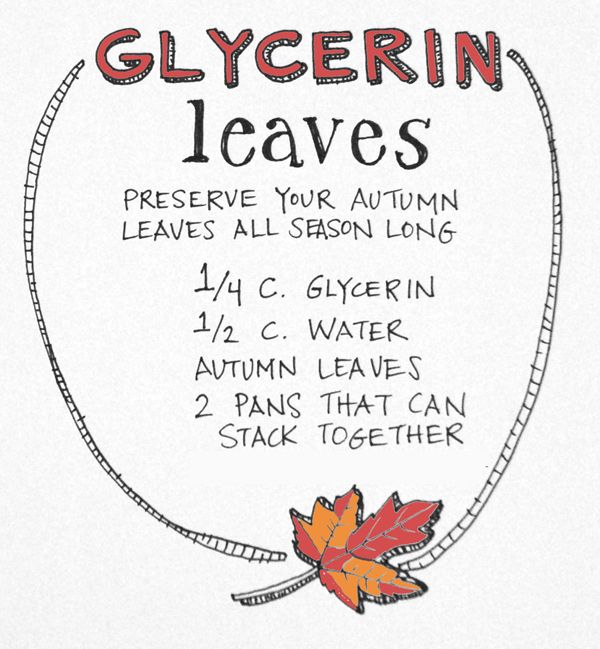 an autumn leaf with the words glycerin leaves