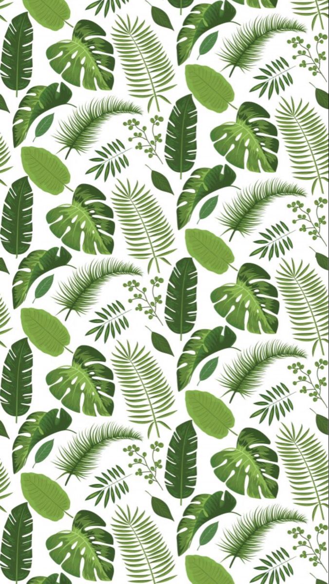 green leaves and plants on a white background