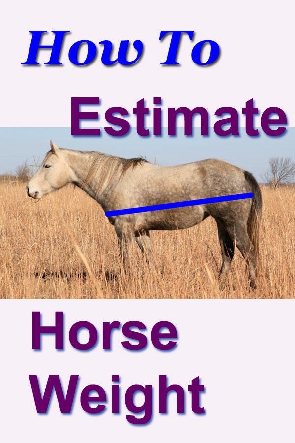 a horse standing in tall grass with the words how to estmate on it's side