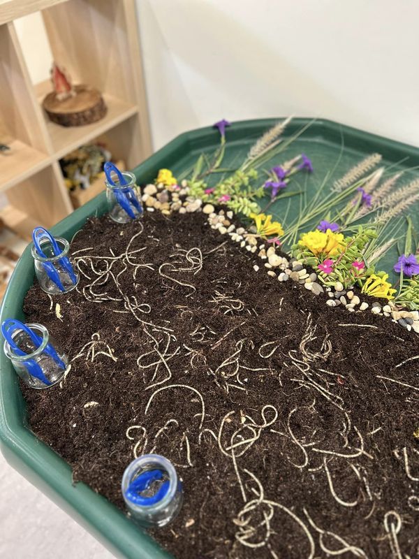 a tray filled with dirt and flowers on top of a table