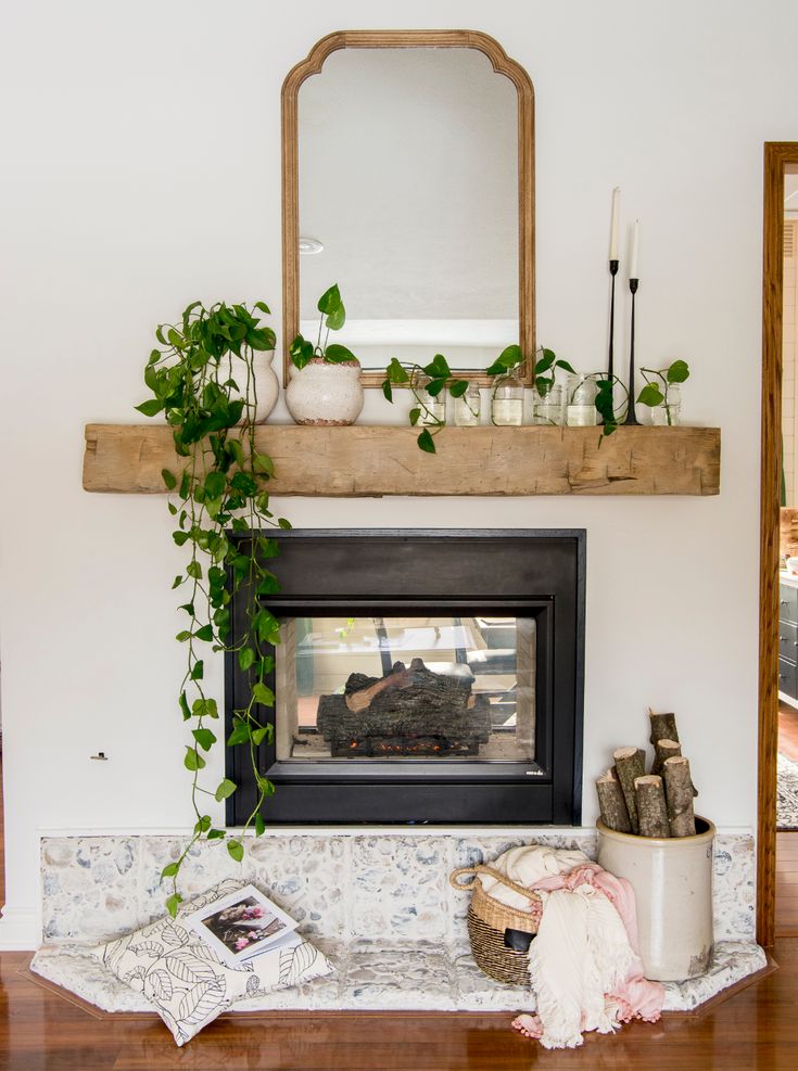 a living room with a fire place and potted plants on top of the mantle