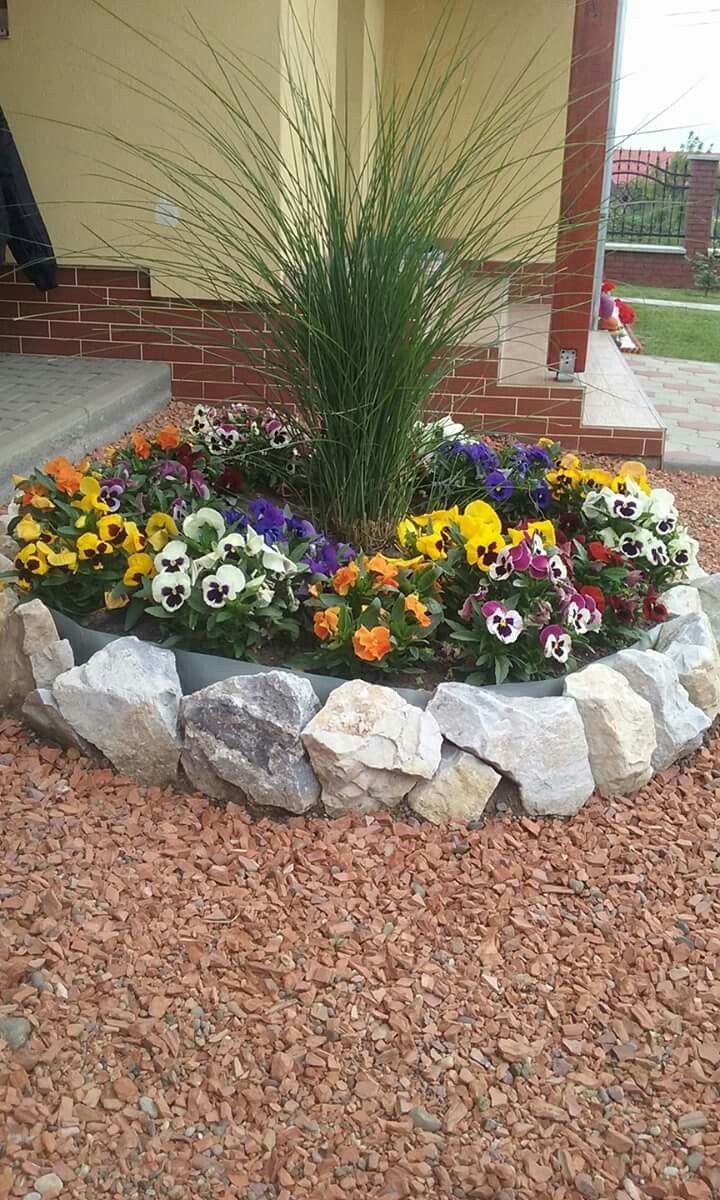 a rock garden bed with flowers in it