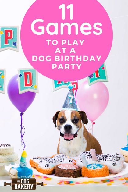 a dog sitting in front of a birthday cake